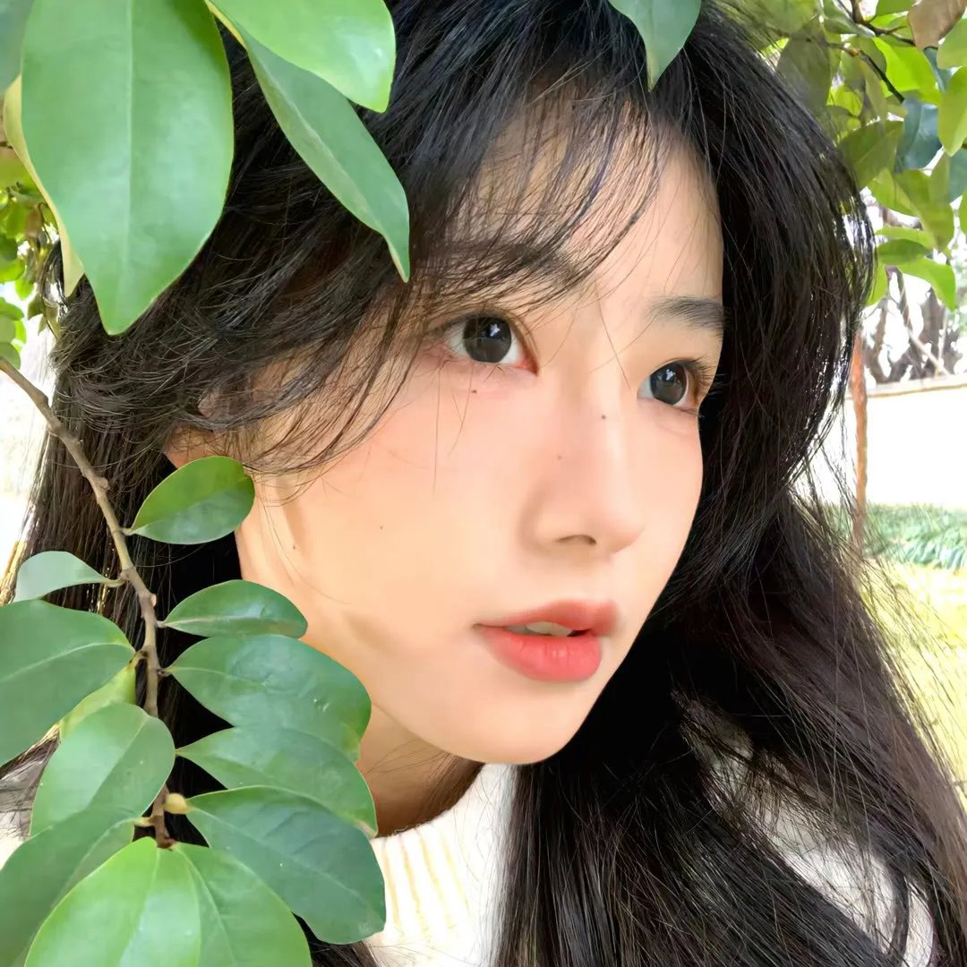 大脚哈利